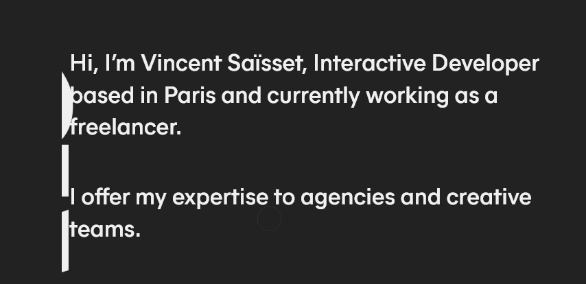 vincent saisset portfolio